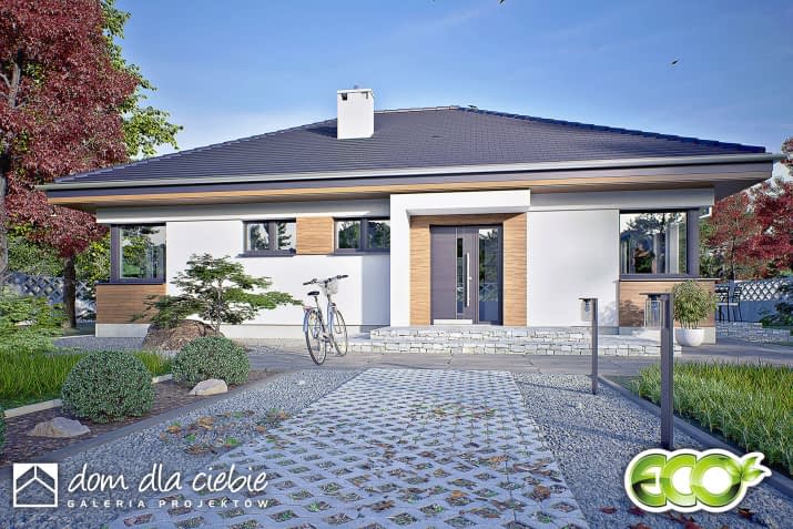 Oliwka 30 - wizualizacja 2