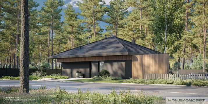 HOMEKONCEPT 97 - wizualizacja 2