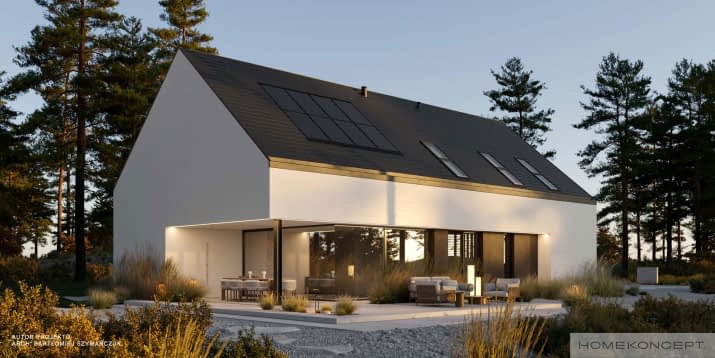 HOMEKONCEPT 119 G1 - wizualizacja 2