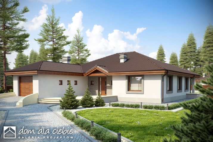 Tomaszek z garażem - wizualizacja 2