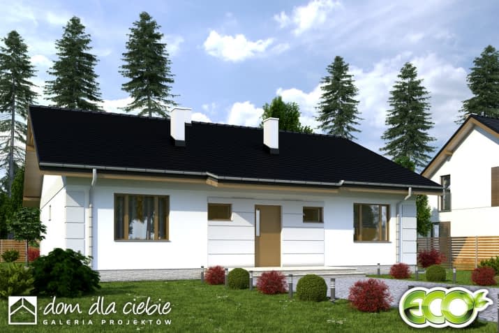 Nasturcja - wizualizacja 2