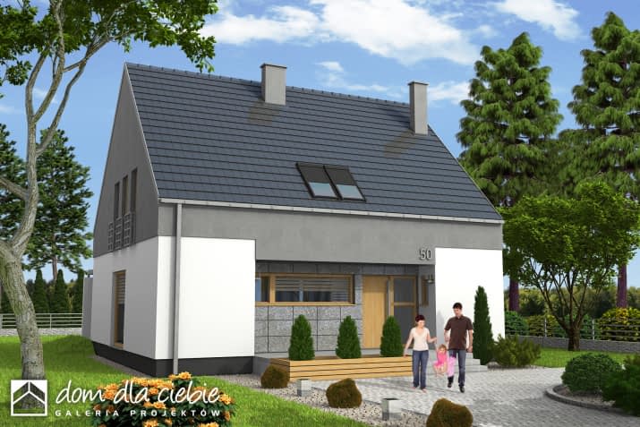 Oleg bez garażu - wizualizacja 2