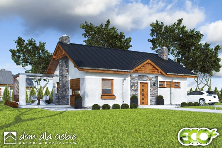 Michał bez garażu - wizualizacja 2