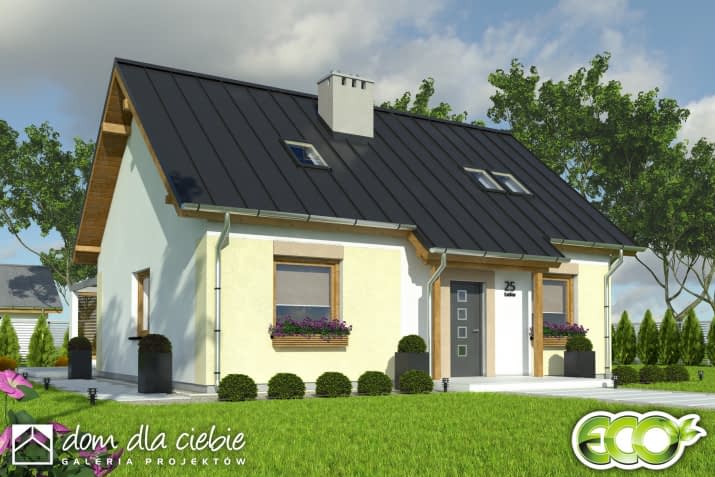 Marcin II - wizualizacja 2