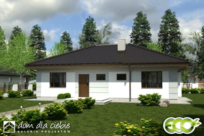 Radek IV - wizualizacja 2