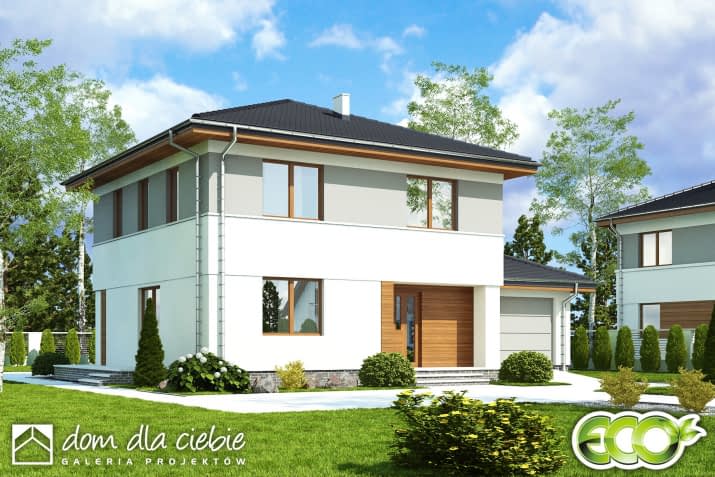 Tadeusz z garażem - wizualizacja 2