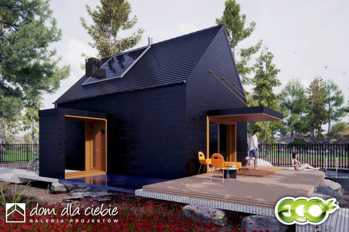 Figiel - wizualizacja 2