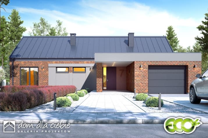 Hyzop II z garażem - wizualizacja 2