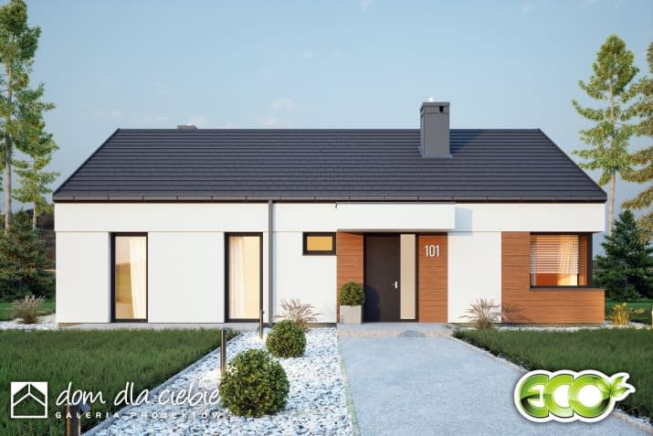 Hyzop IV - wizualizacja 2