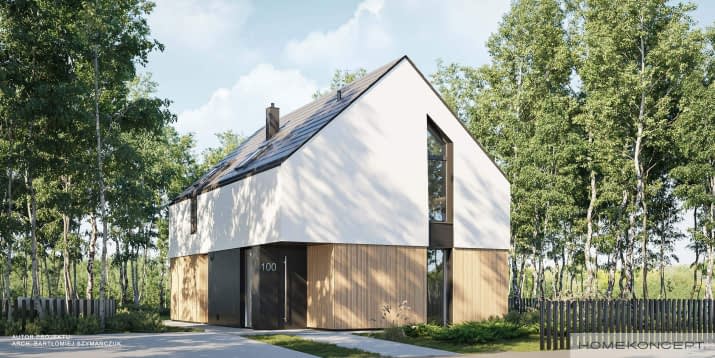 HOMEKONCEPT 100 - wizualizacja 2