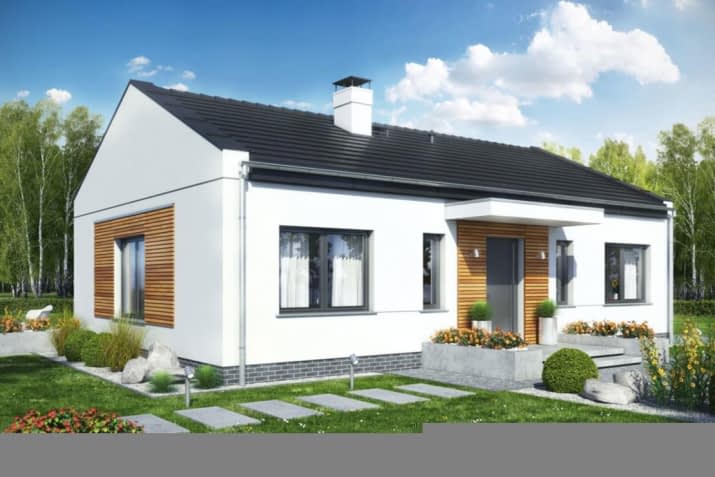 Terrier 6 bez garażu - wizualizacja 2