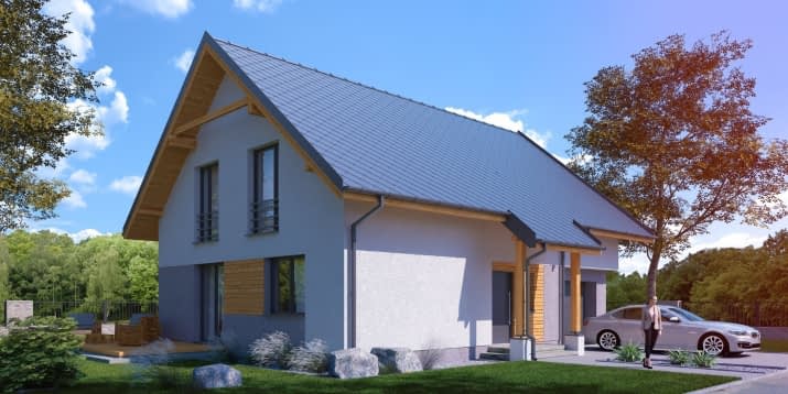 Directus II G1 - wizualizacja 2