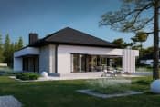 NewHouse 708 w1 - wizualizacja 3