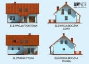TRYPOLIS szkielet drewniany - wizualizacja 4