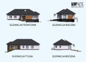 LAGUNA częściowe podpiwniczenie - wizualizacja 4