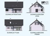 TRYPOLIS 5  szkielet drewniany - wizualizacja 4