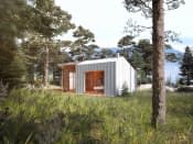 Śmiałek dr-S (DR-S) - wizualizacja 5