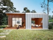 Śmiałek dr-S (DR-S) - wizualizacja 6