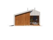 Śmiałek dr-S (DR-S) - wizualizacja 10