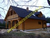 oleśnica dw - wizualizacja 44