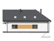 kasztanowo 1mg - wizualizacja 5