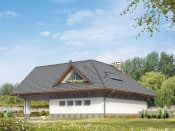 Rybitwa (CE) - wizualizacja 3