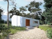 Śmiałek dr-S (DR-S) - wizualizacja 3