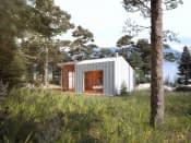 Śmiałek dr-S (DR-S) - wizualizacja 5