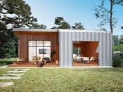 Śmiałek dr-S (DR-S) - wizualizacja 6