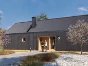 Paproć (CE) - wizualizacja 5