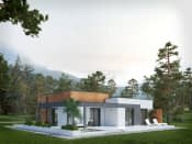 Amika (CE) - wizualizacja 7