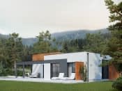 Amika (CE) - wizualizacja 11