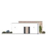 Amika (CE) - wizualizacja 13