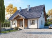 Arion 2 (CE) - wizualizacja 3