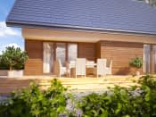 Arion 2 (CE) - wizualizacja 6