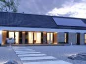 Paproć 5 (PH) - wizualizacja 3