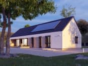 Paproć 5 (PH) - wizualizacja 5