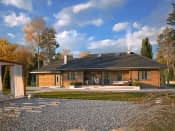 Borówka 7 bal (BAL) - wizualizacja 4