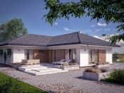 Ambrozja 10 (CE) - wizualizacja 3