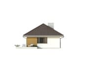 Imbir (CE) - wizualizacja 6