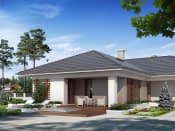 Aksamit (CE) - wizualizacja 3