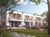 Wiąz (CE) - wizualizacja 3