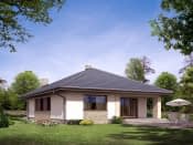 Aster (CE) - wizualizacja 3