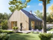 Paproć 4 (CE) - wizualizacja 3