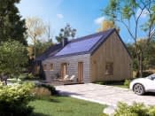 Paproć 4 (CE) - wizualizacja 4