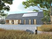 Paproć 2 (PH) - wizualizacja 4