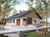 Pasja (CE) - wizualizacja 3