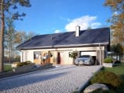 Pasja (CE) - wizualizacja 5