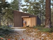 Szyszka 3 dr-S (DR-S) - wizualizacja 3