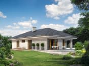 Neptun 5 dr-T (DR-T) - wizualizacja 3